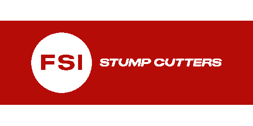 FSI logo